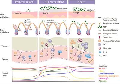 Dysregulated Mucosal Immunity and Associated Pathogeneses in Preterm Neonates